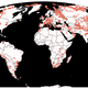 Imagen: Paleobiology Database.